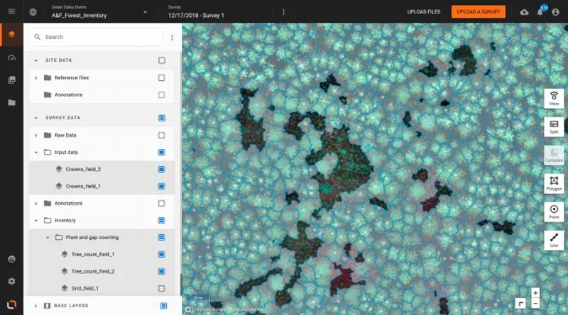 Цифровой двойник лесов