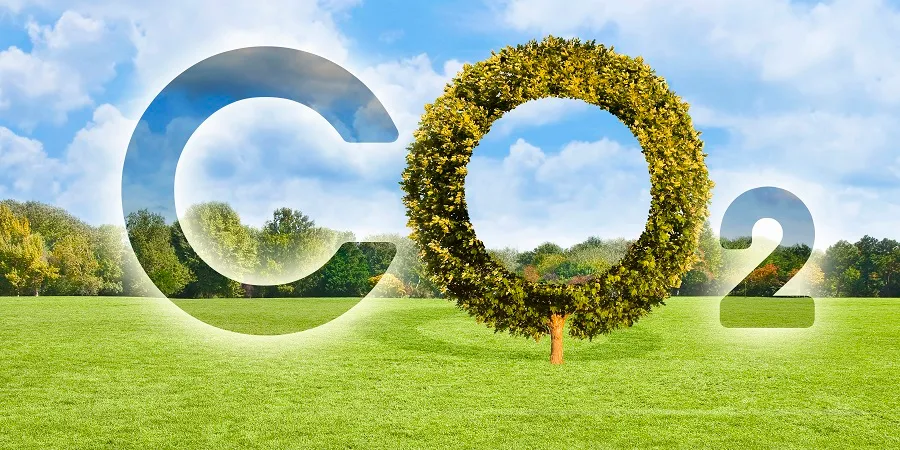 Углеродные проекты