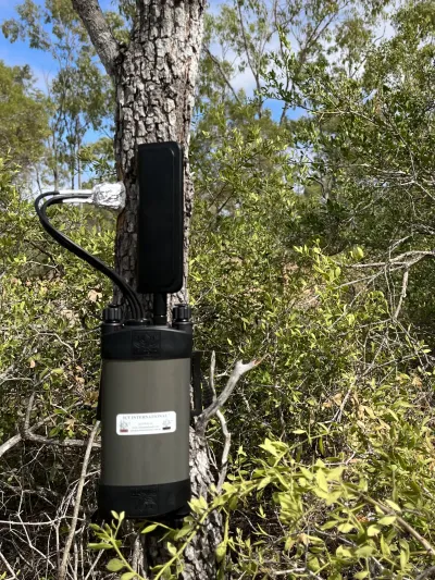 SDI-12 Sap Flow Sensor