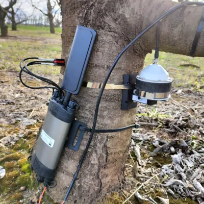 SFMx Sap Flow Meter with IoT connectivity